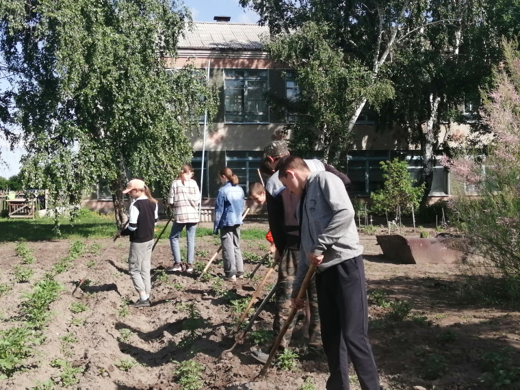 Работа на пришкольном участке в летний период.